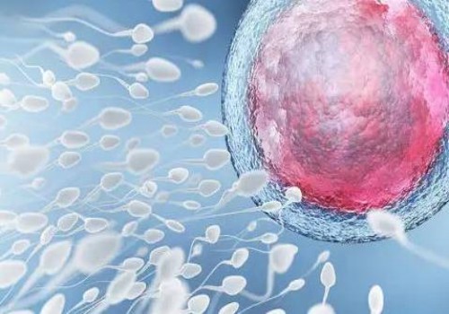 移植后多久能测出怀孕？时间长短取决于着床早晚