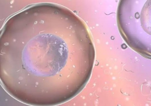 可不要错过最佳生育年龄，抓紧时间生育才是关键